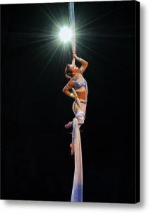 A Star is Born - The Acrobat